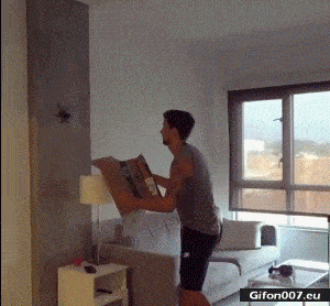 Funny-Video-Big-Spider-Gif.gif