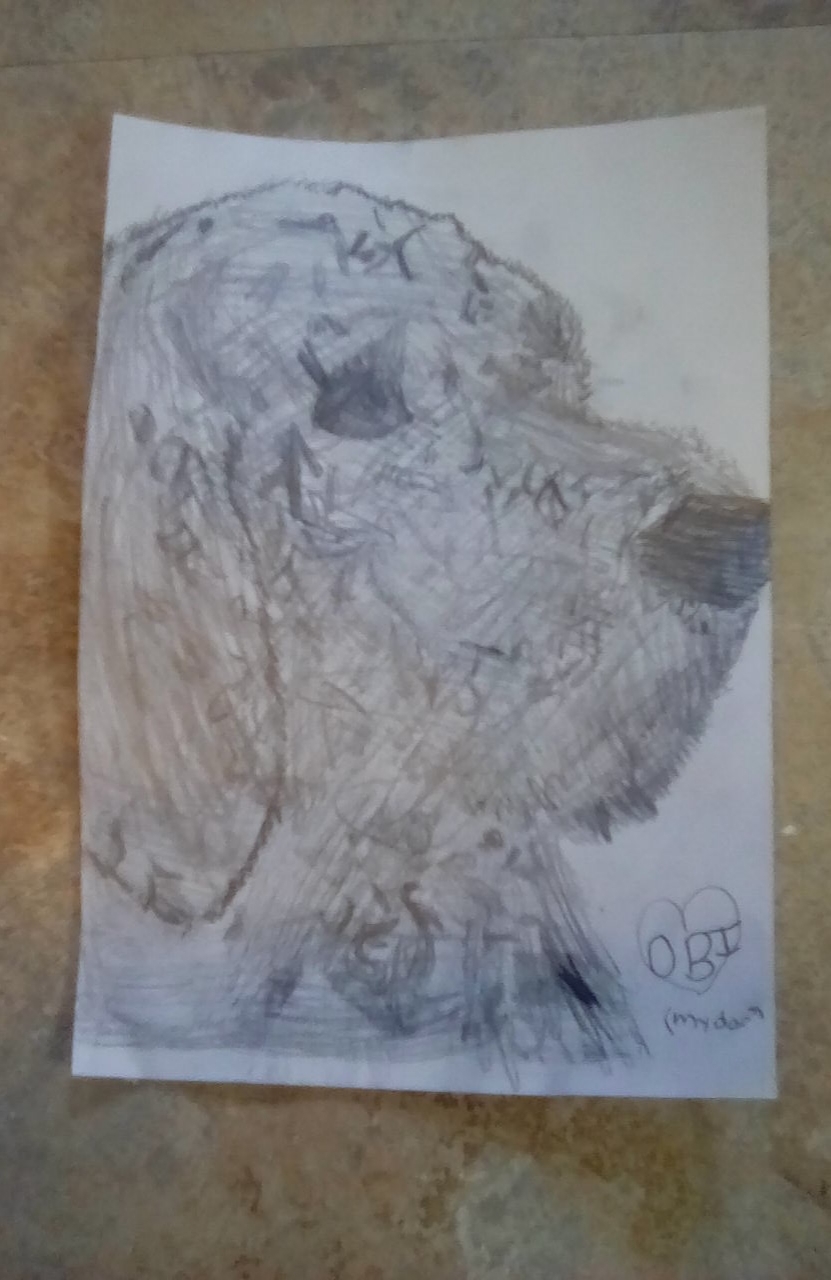 Fuzzy's Drawing.jpg