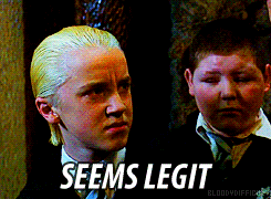 giphy (1).gif