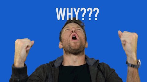 giphy (1).gif