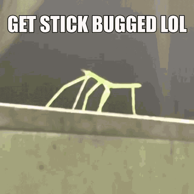 giphy.gif
