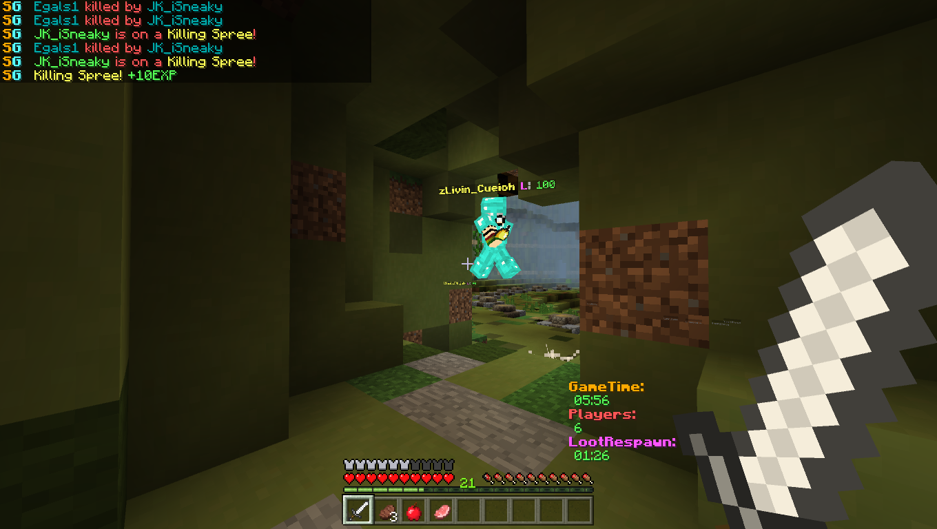 Hacker29.png