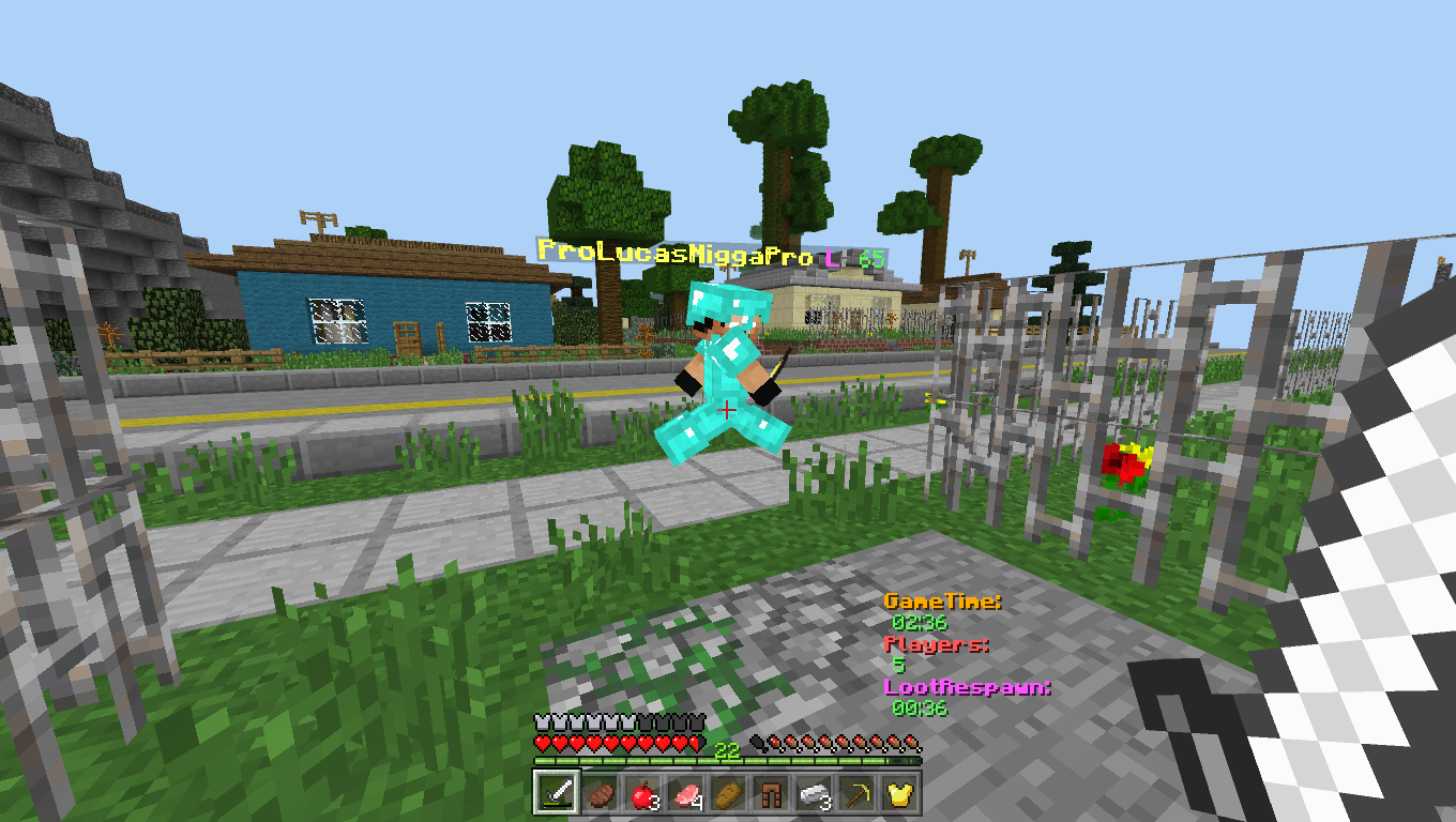 Hacker30.png