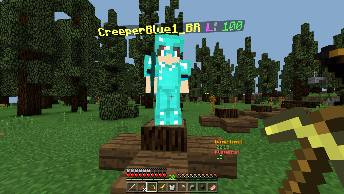 Hacker43.png