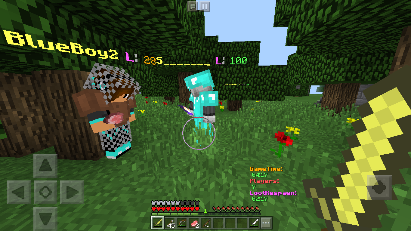 Hacker46.png
