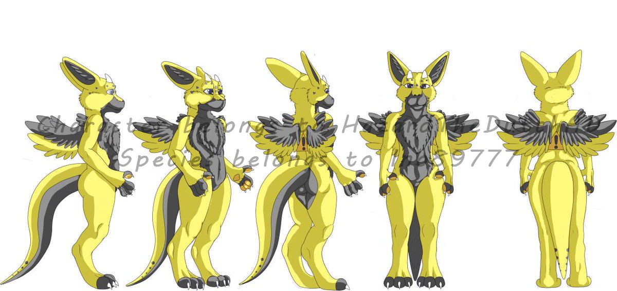 Hazards Ref WATERMARKED.png