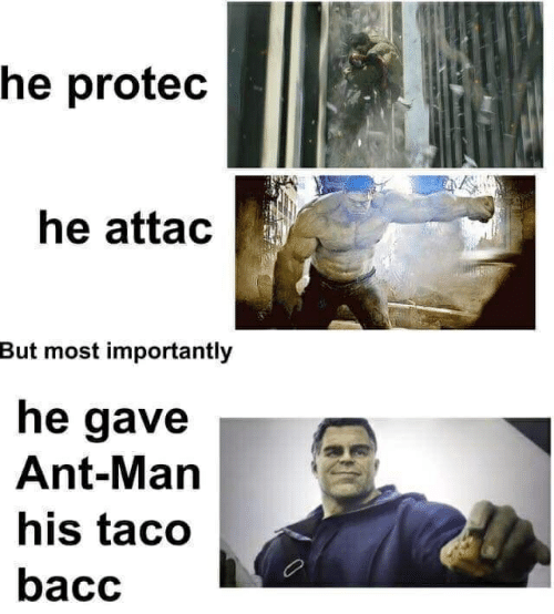 he-protec-he-attac-but-most-importantly-he-gave-ant-man-55759902.png