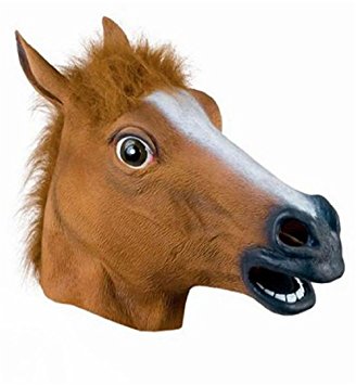 horse.jpg
