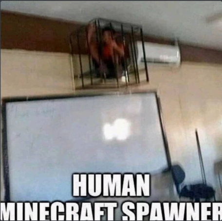 human_minecraft_spawner.png