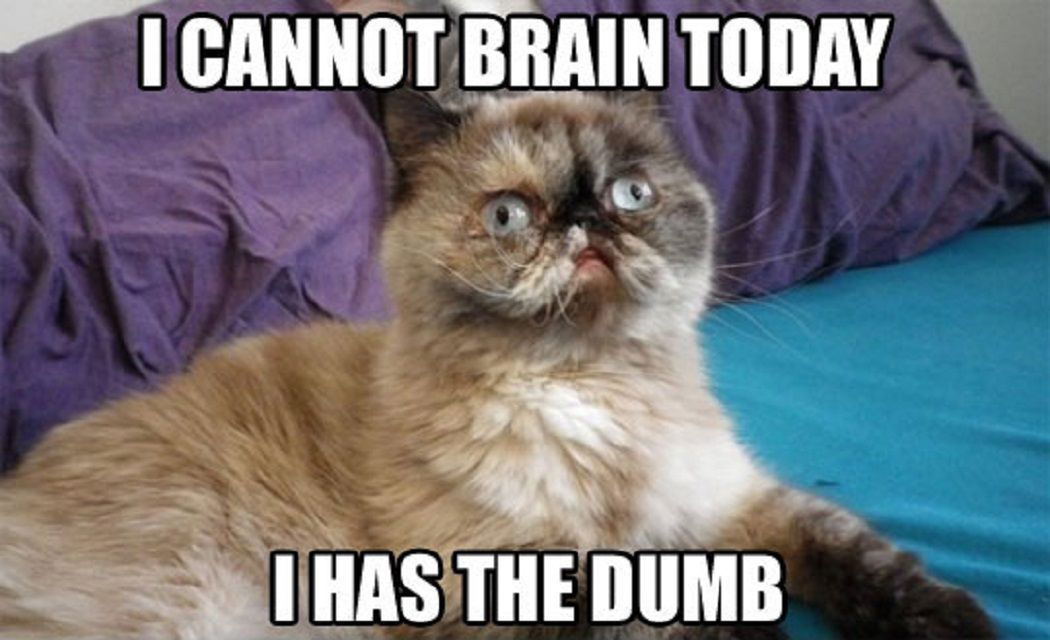 I cannot brain.jpg