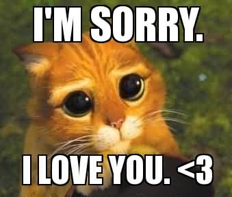 Im-sorry-i-love-you.-Love-Meme.jpg