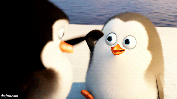 image.gif