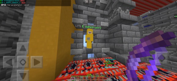 image.jpeg