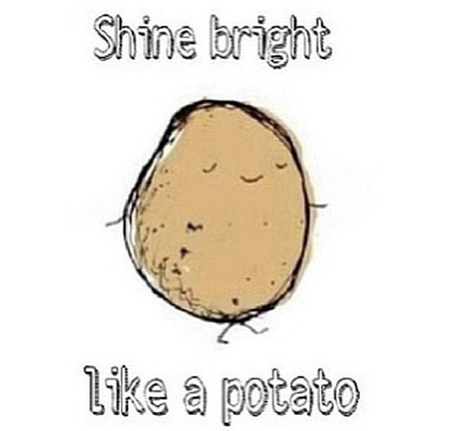image.jpeg