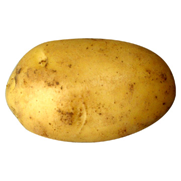 image.jpeg