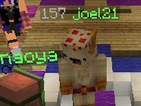 image.jpeg