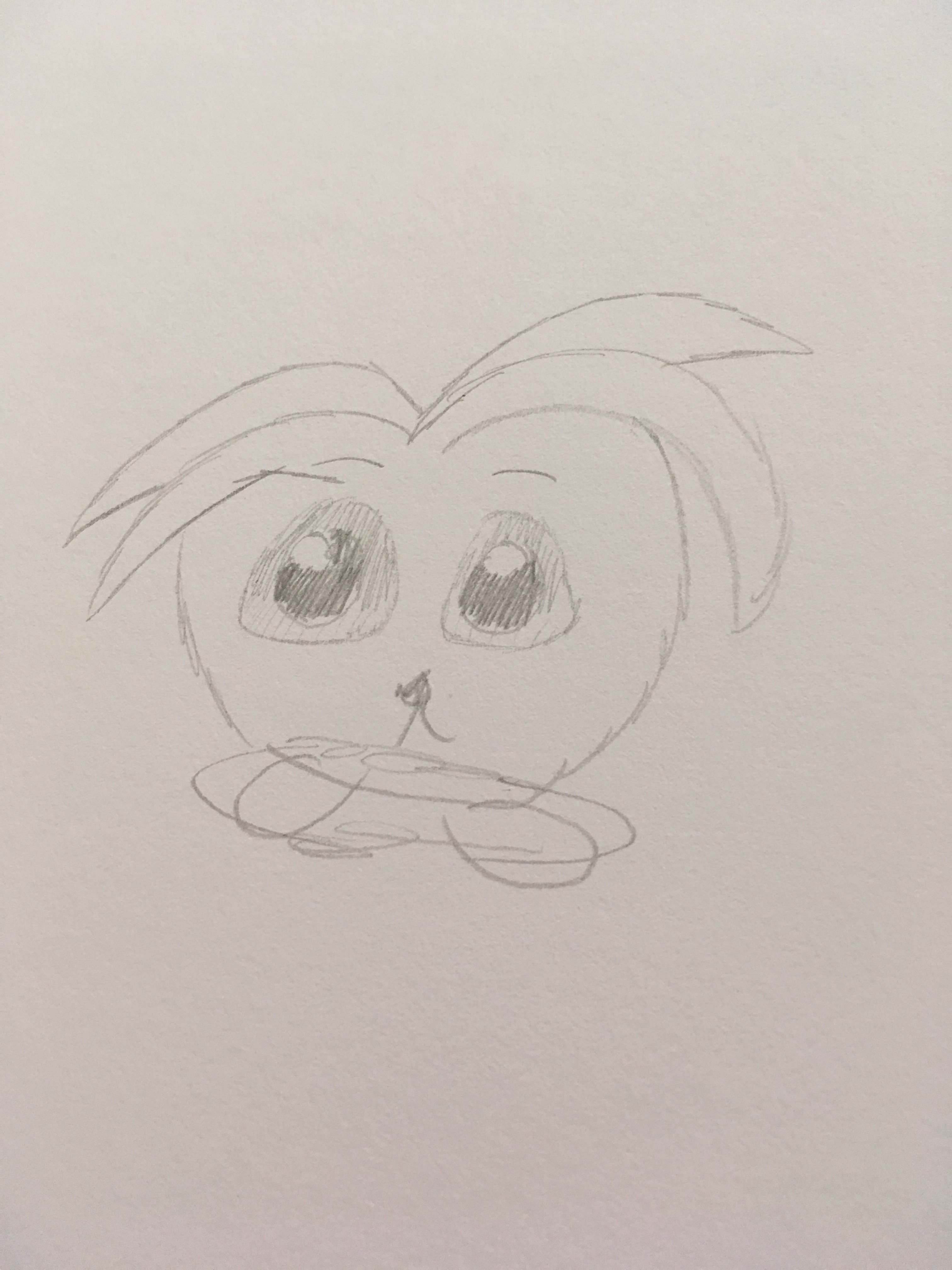 image.jpg