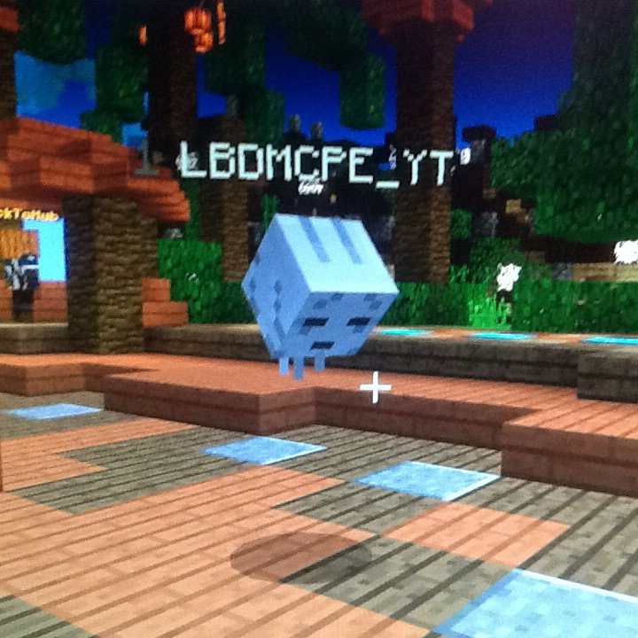 image.jpg
