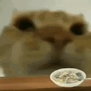 image0-55.gif