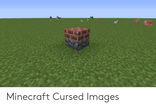 images (5).jpeg