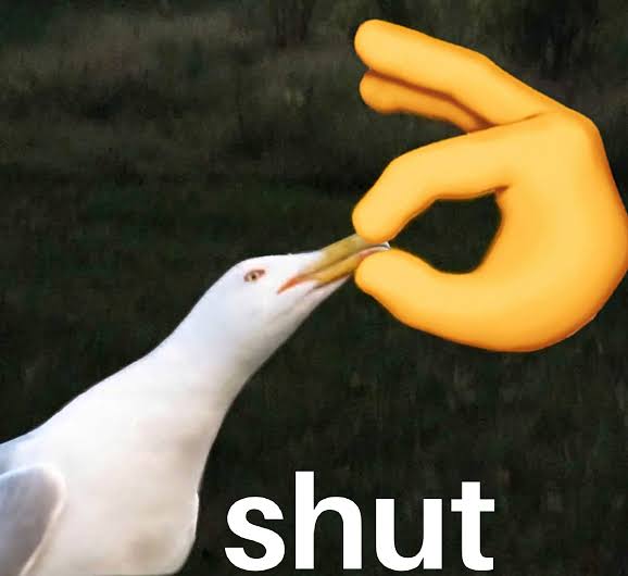images (5).jpeg