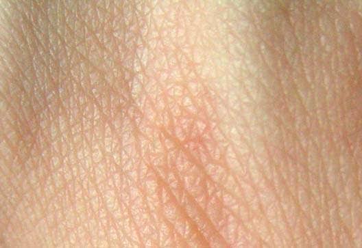 images (6).jpeg