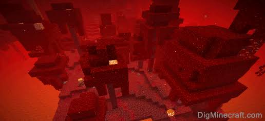 images (9).jpeg