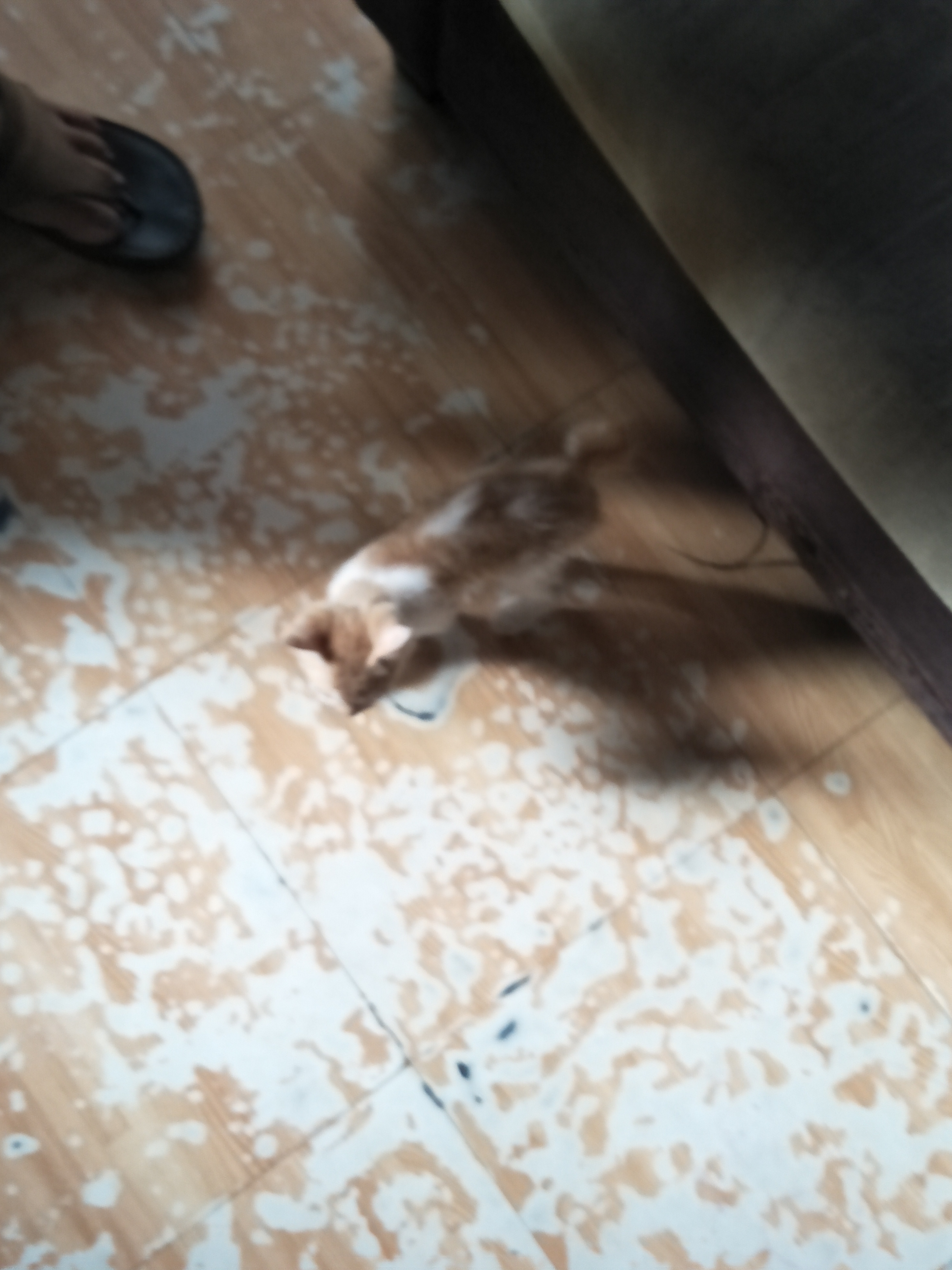 IMG20180506155535.jpg