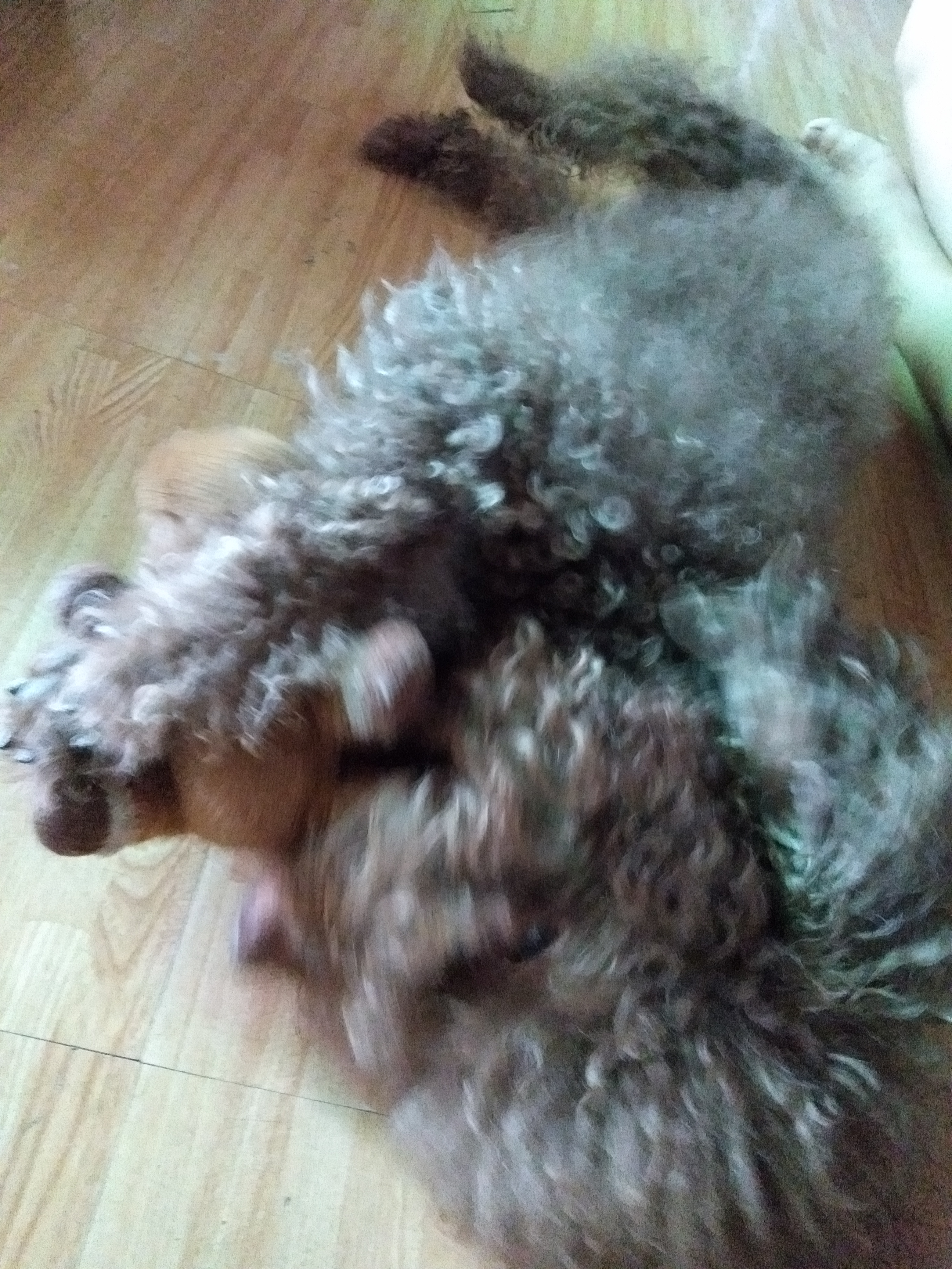 IMG20190422091831.jpg