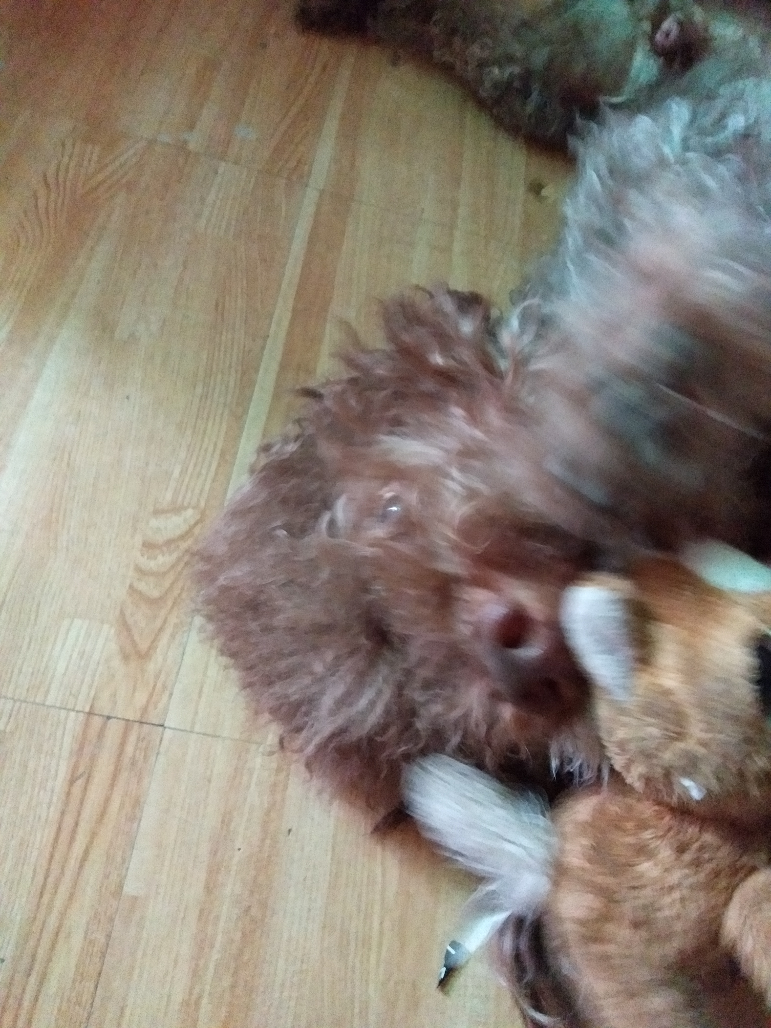 IMG20190422091837.jpg