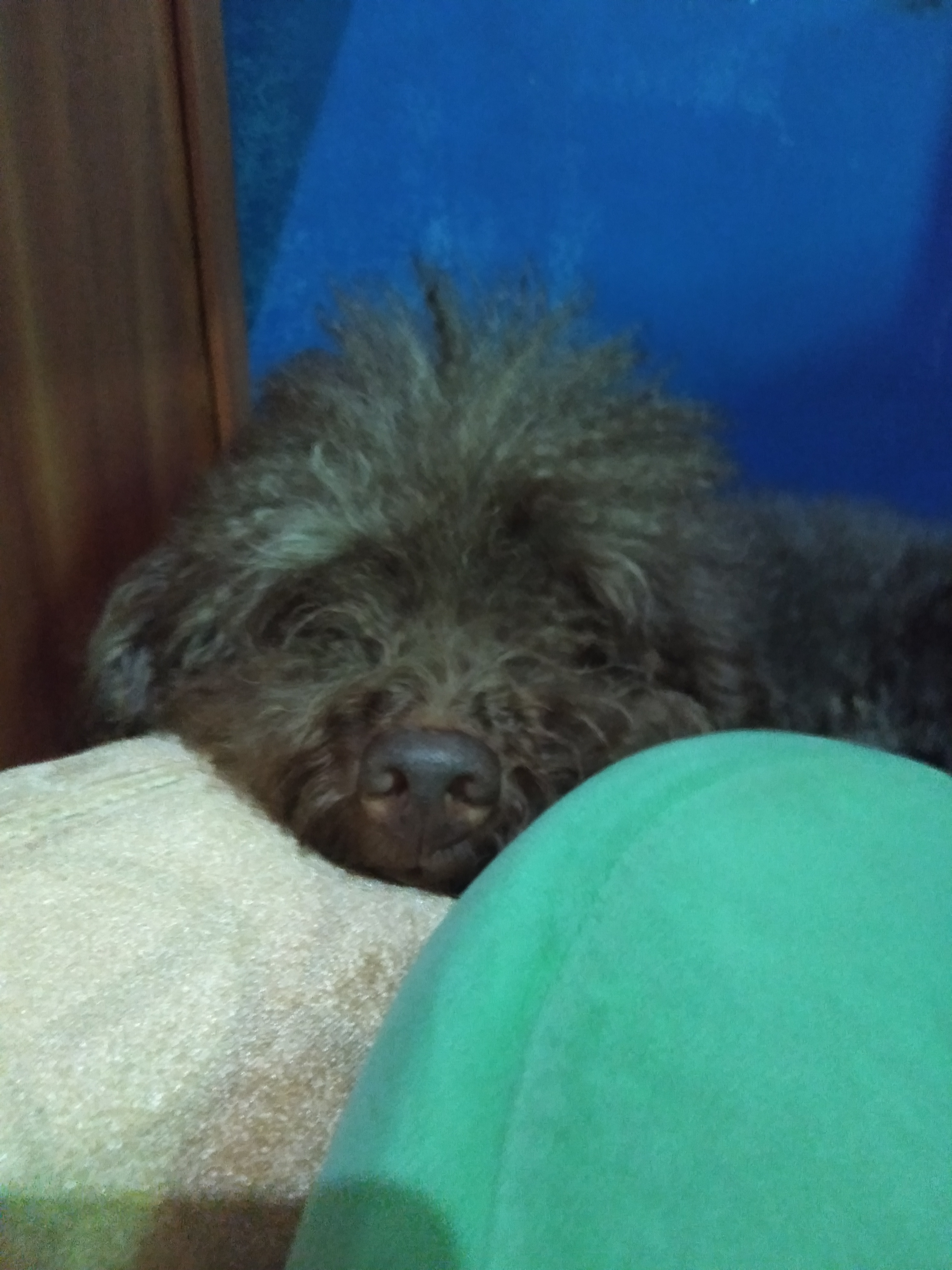 IMG20190604102358.jpg