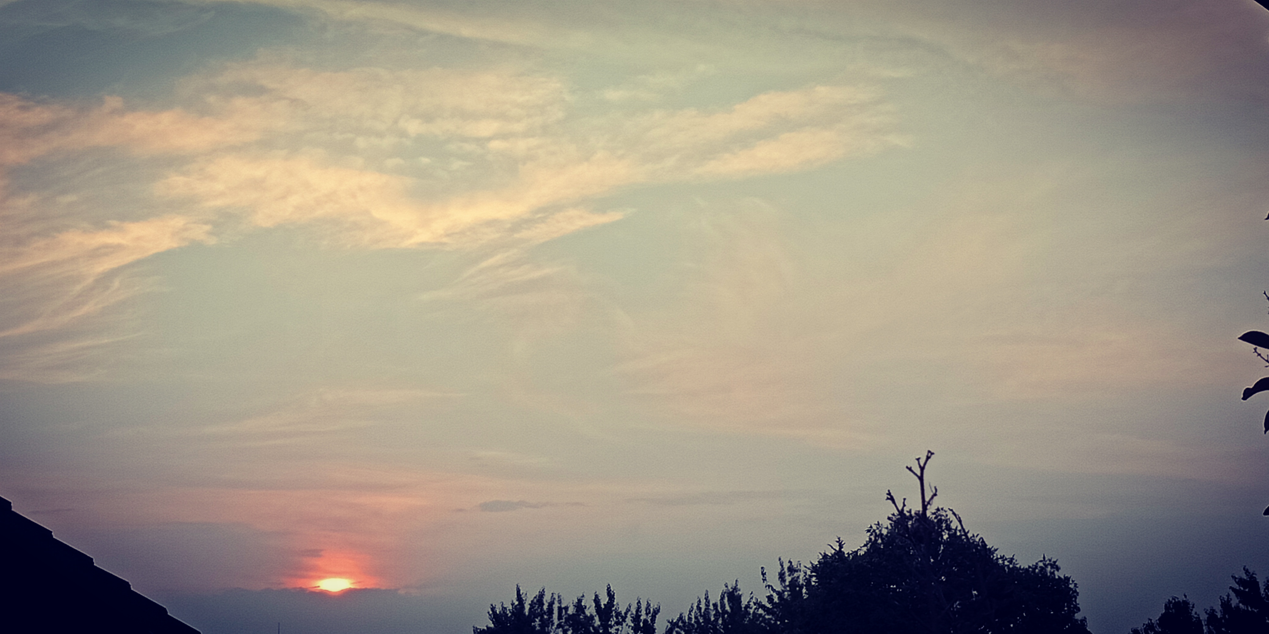 IMG20191220201450.jpg
