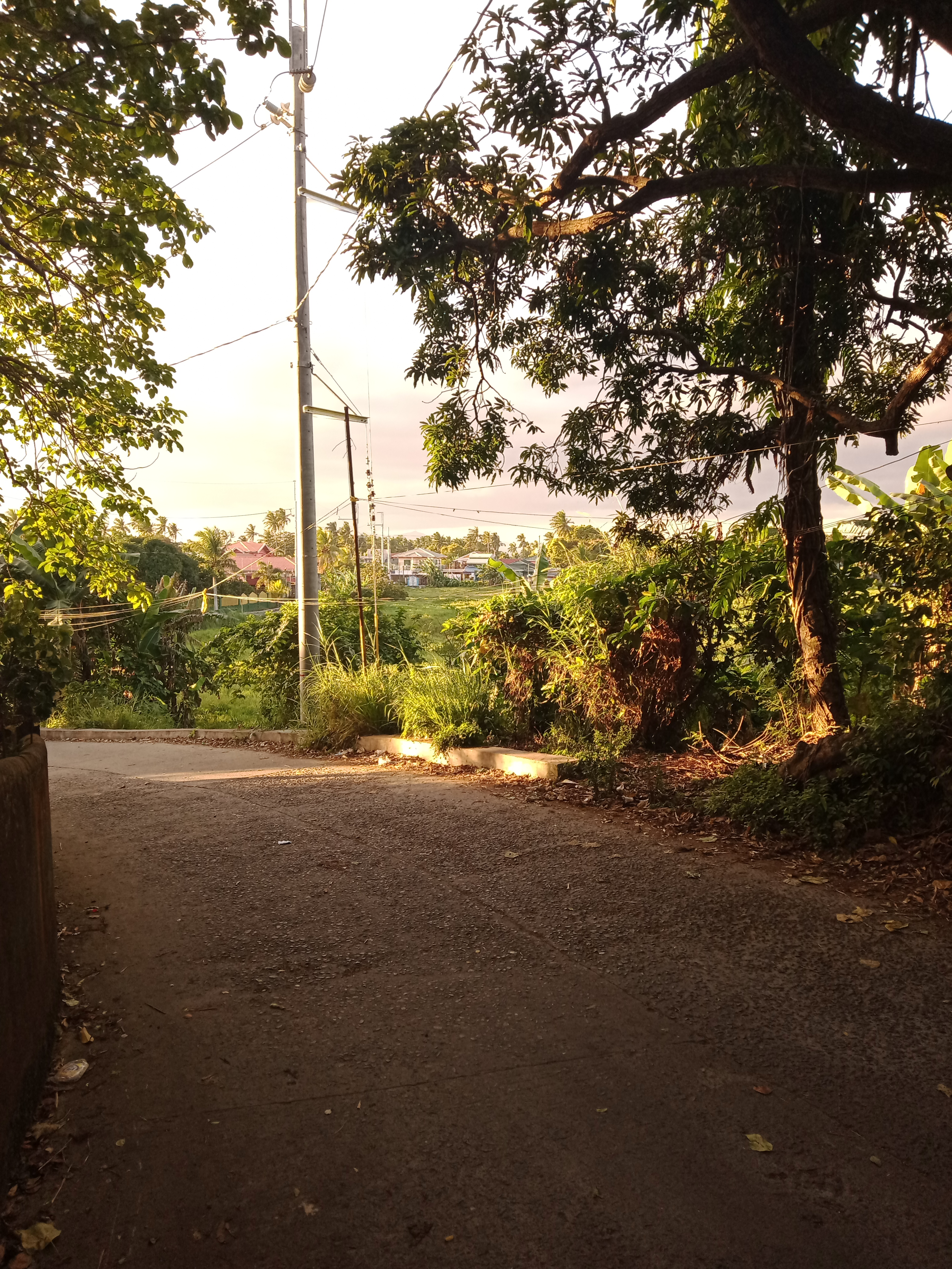 IMG20211204164430.jpg