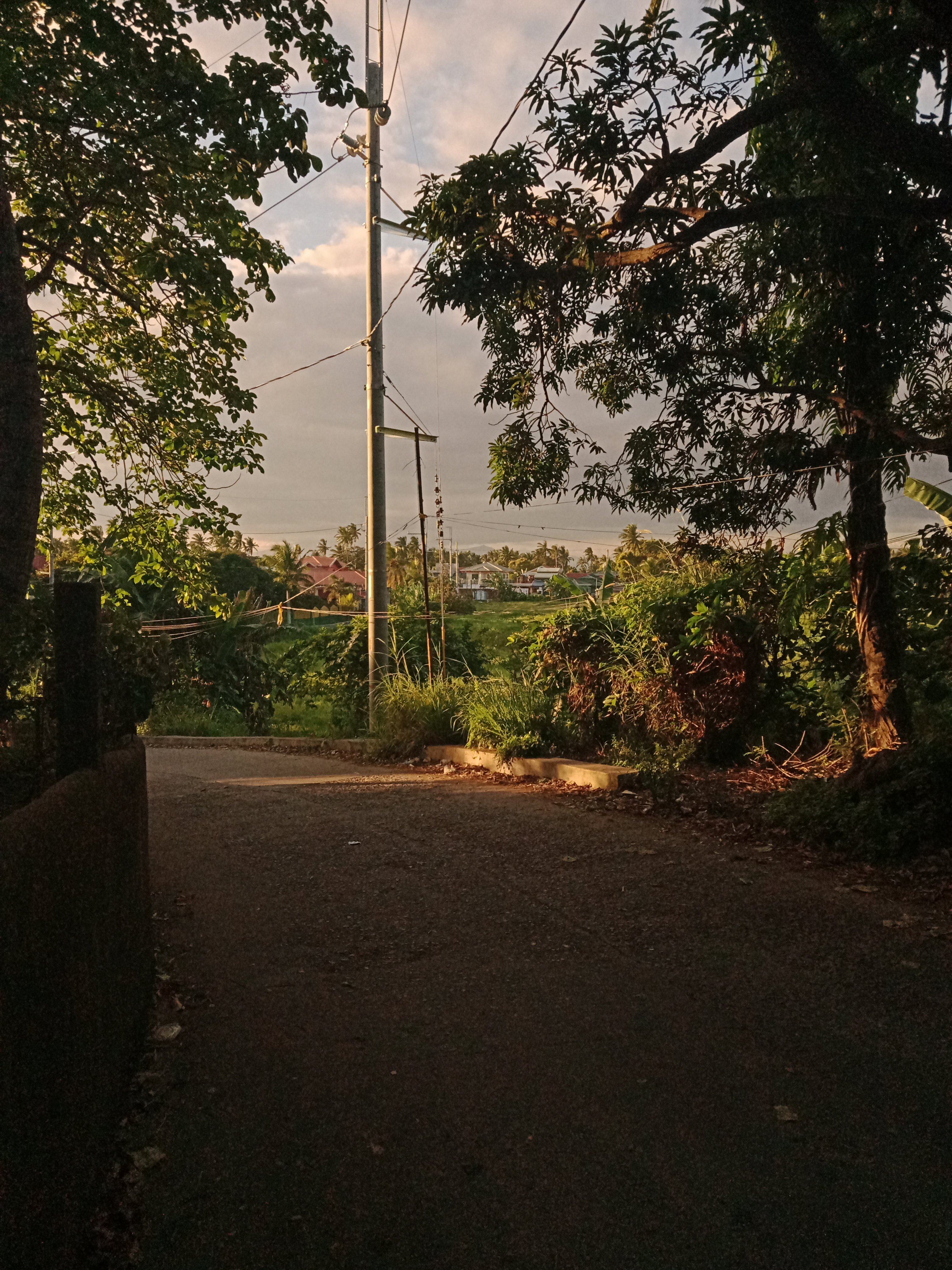IMG20211204164445.jpg