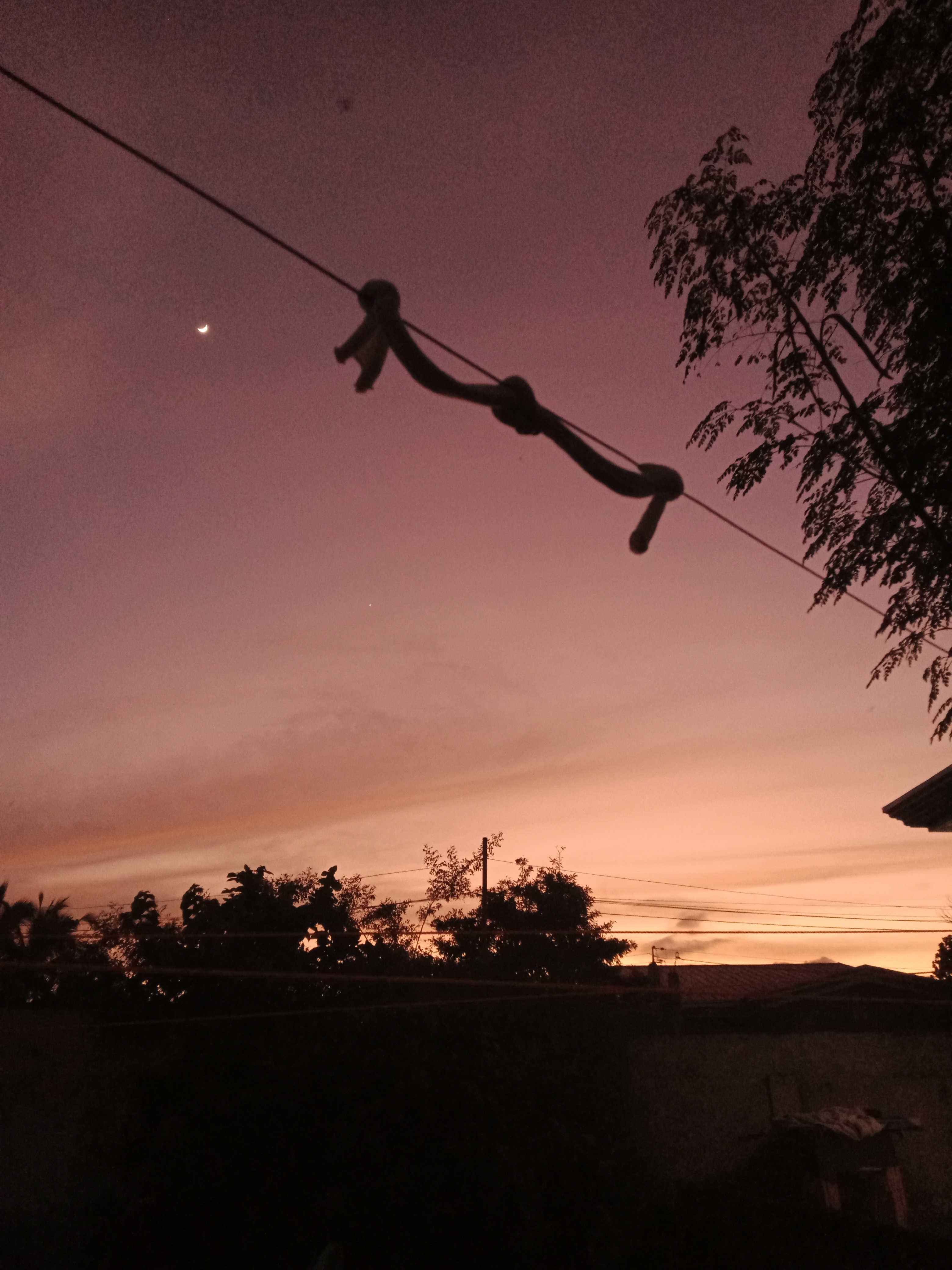 IMG20211208174739.jpg