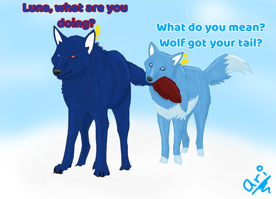 IMG_1297.PNG