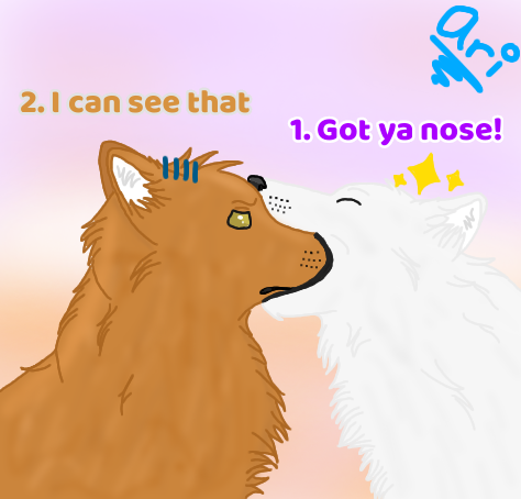IMG_1307.PNG