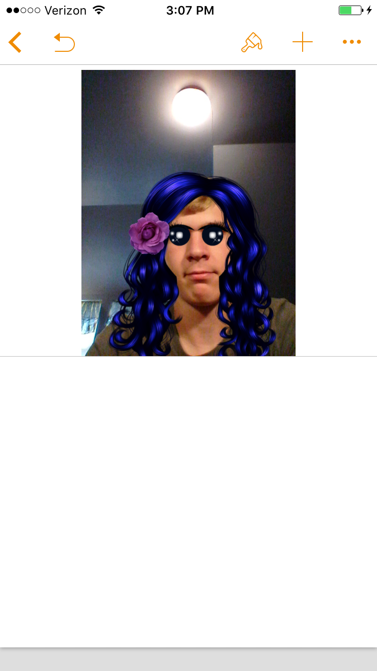 IMG_2010.PNG