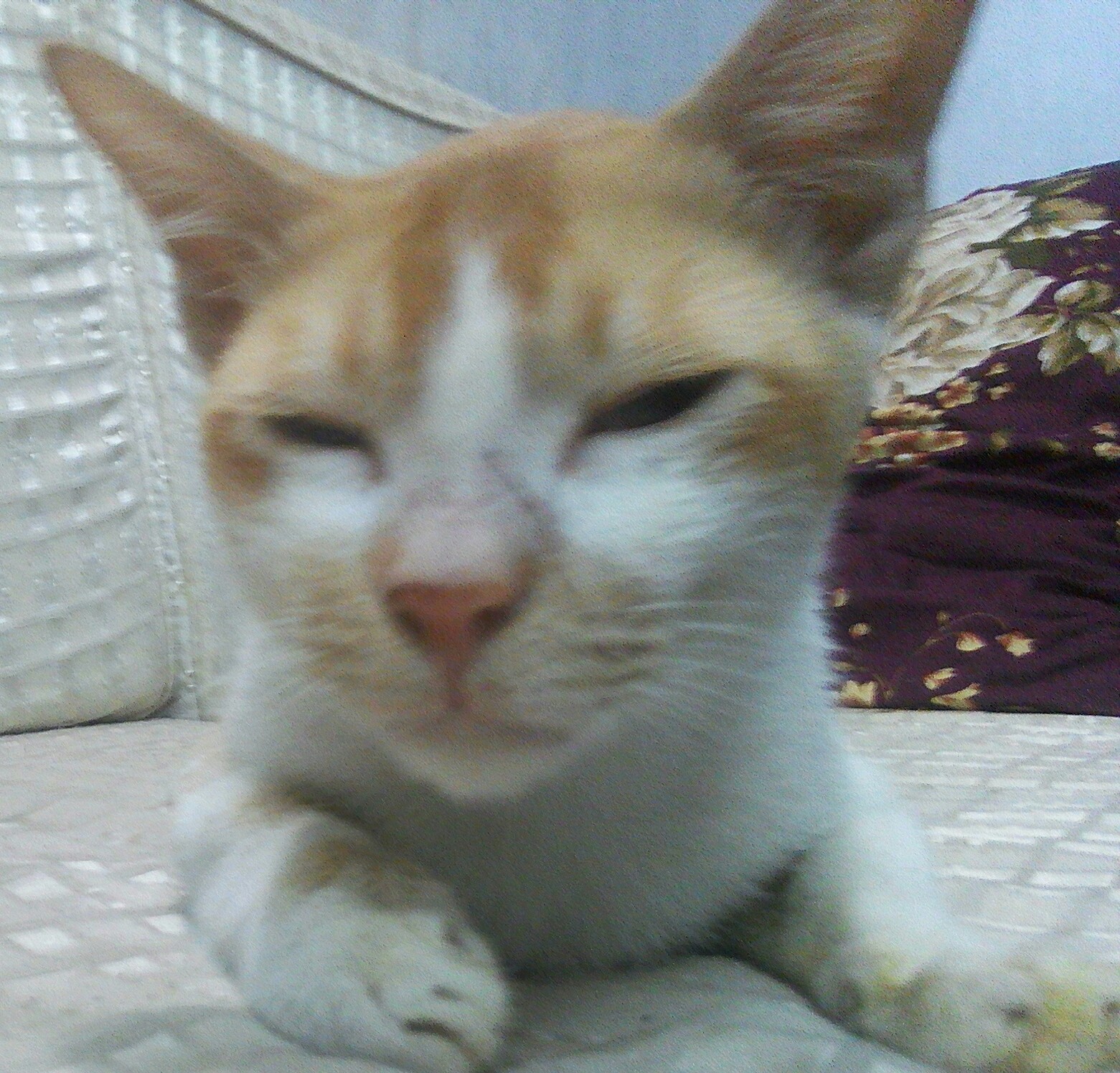 IMG_20170505_223228.JPG
