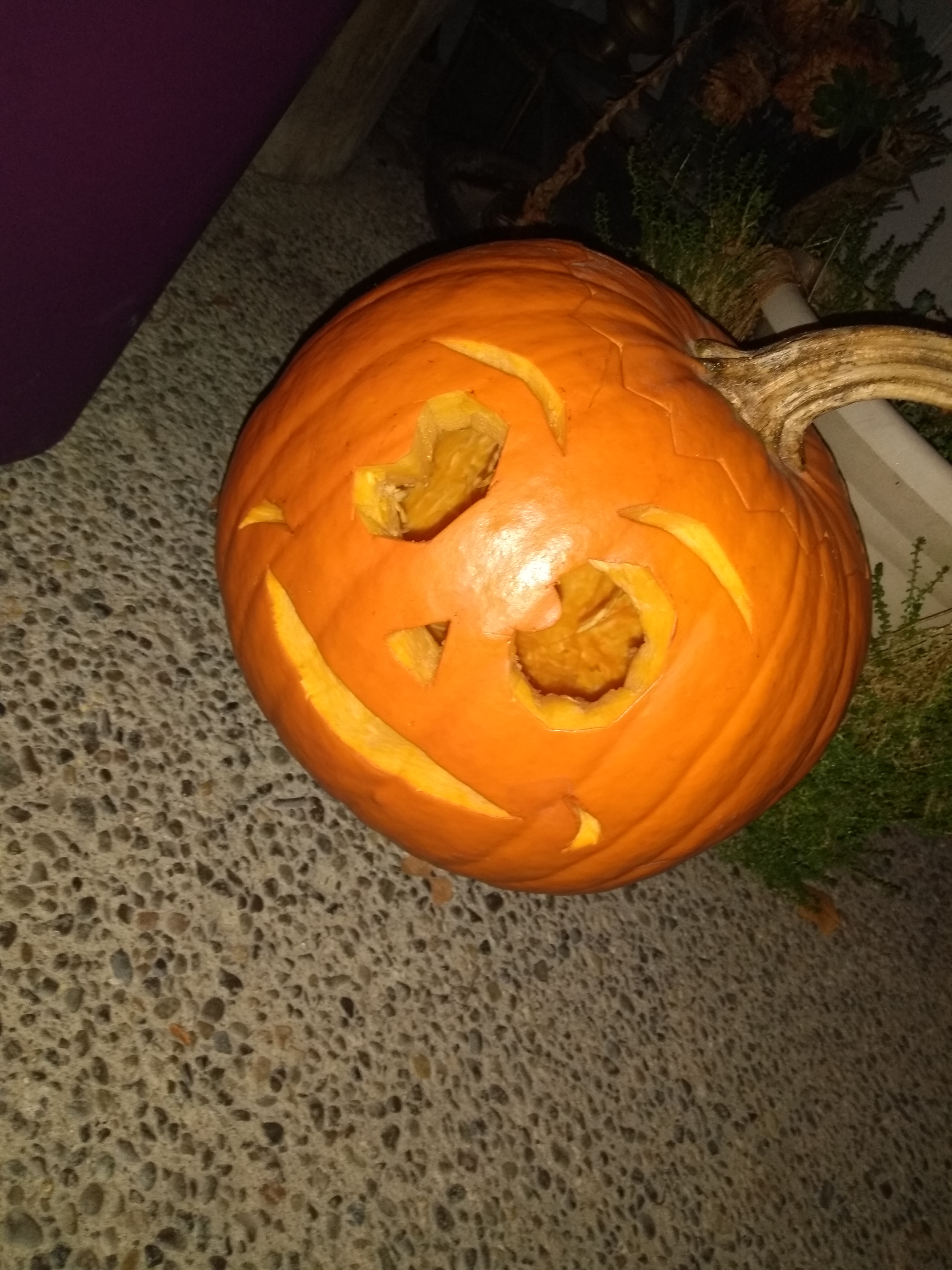 IMG_20181027_201024942.jpg