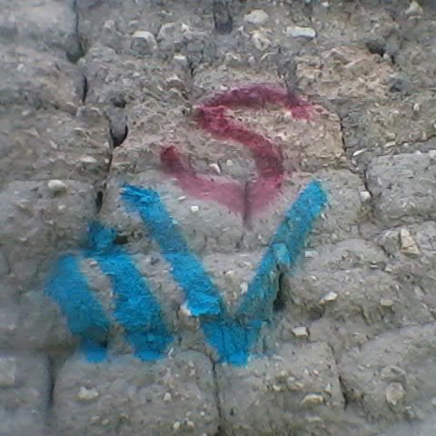 IMG_20220426_135639-1.jpg