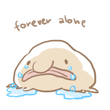 IMG_2262.PNG