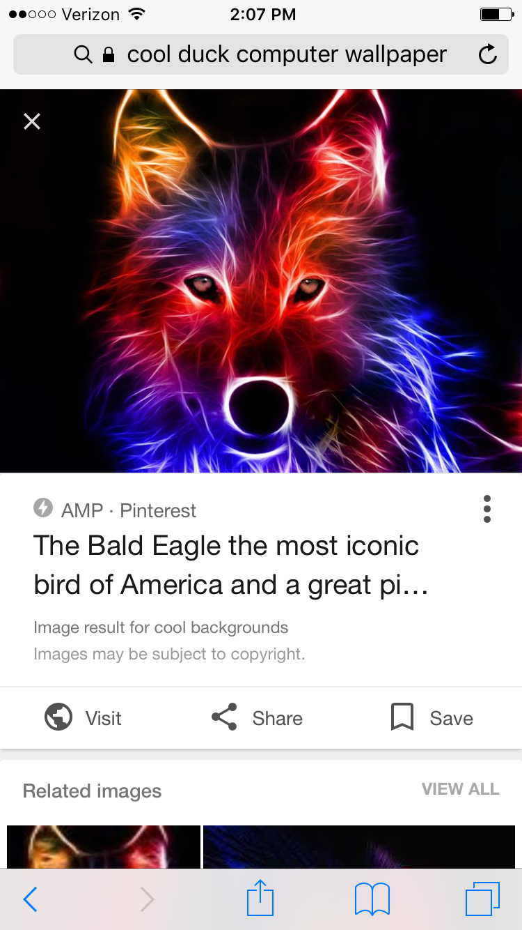 IMG_2379.PNG
