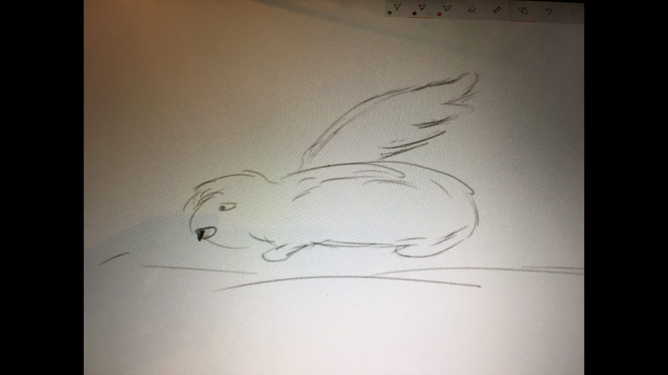 IMG_2815.PNG