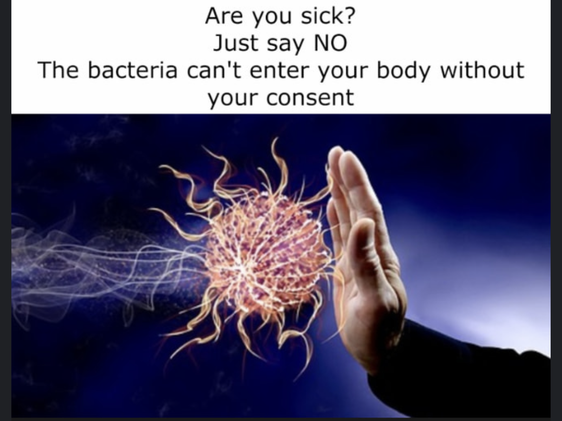 IMG_4321.PNG