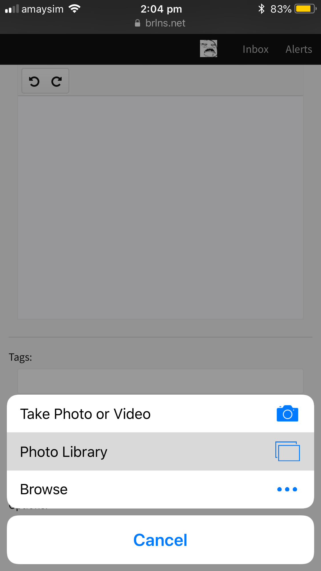 IMG_4379.PNG