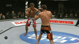 IMG_6738.GIF