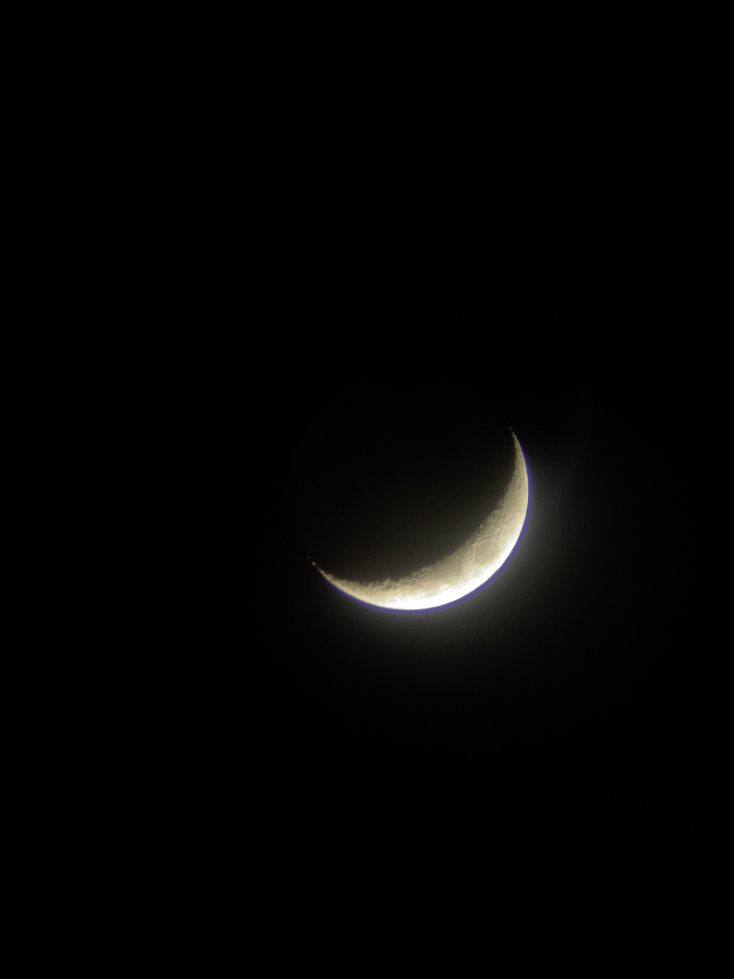IMG_6835.jpeg