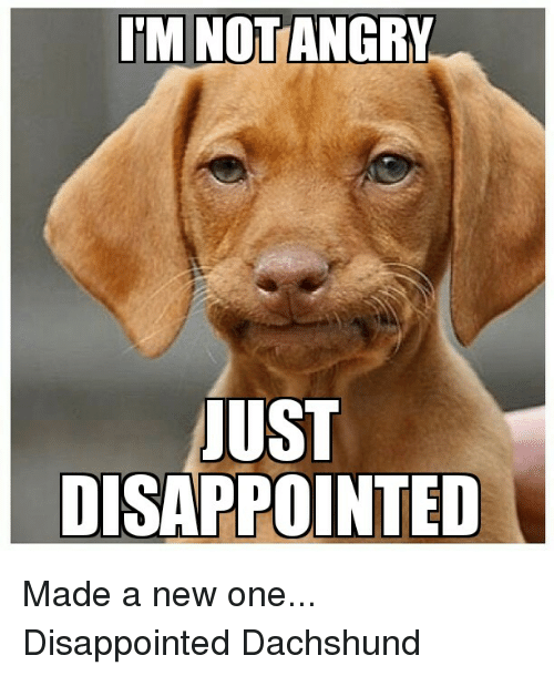 itm-notangry-ust-disappointed-made-a-new-one-disappointed-dachshund-2033571.png