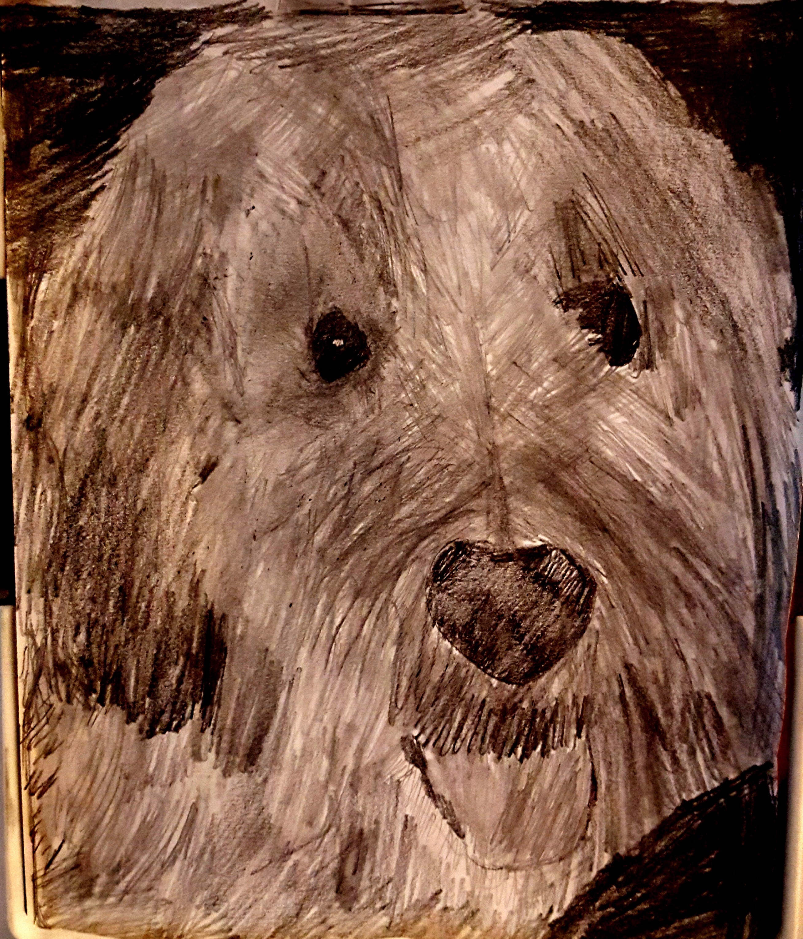 Jely's Drawing.jpg